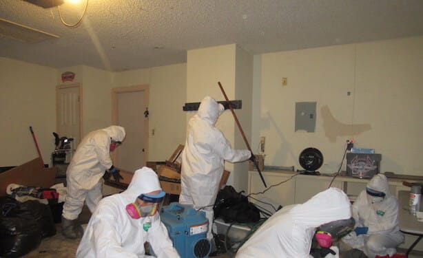 Team Cleans Up Dead Bodies