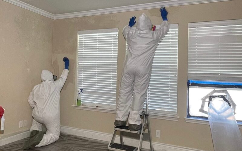 Person cleaning a wall with a sponge, focusing on removing dirt and stains, showcasing effective wall cleaning techniques.